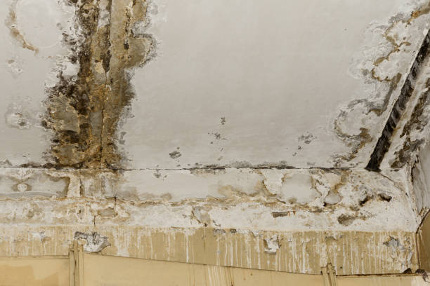 St Martinville, LA Water damage restoration Company